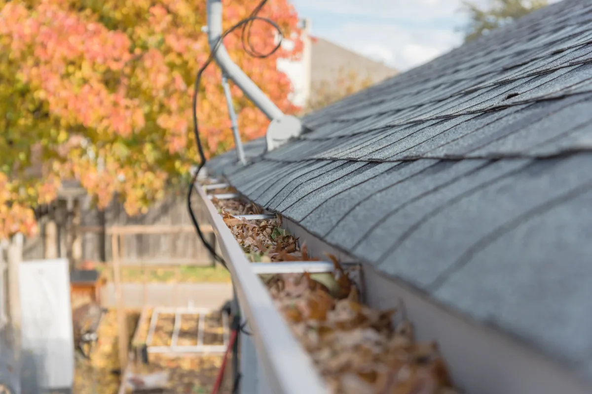 Fall Roof Maintenance: 5 Spots to Check Before Colorado Snow